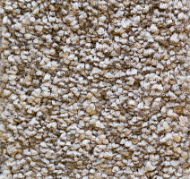 Ковролин AW Masquerade Osiris 37 фото 1 | FLOORDEALER